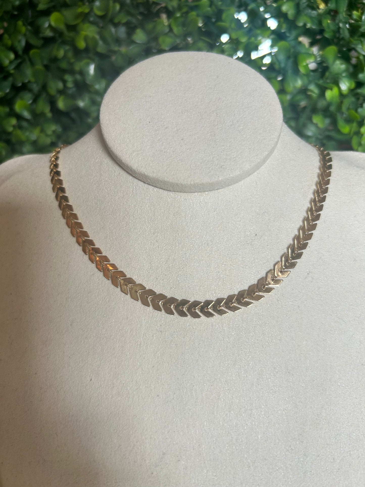 collier Nexa 2